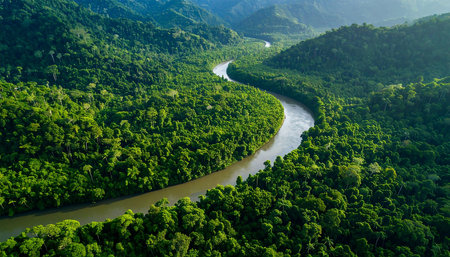 Aerial view of the river in the green forest, Thailand.の素材