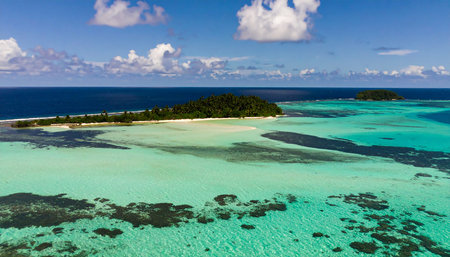 Tropical island at Maldives with few palm trees and blue lagoonの素材