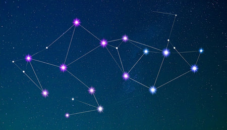 Starry sky with stars and constellations. Vector illustration.の素材