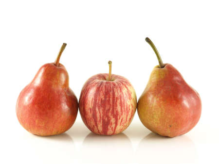 Pears and apple in a raw on isolated background.の写真素材