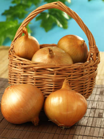 Organic onions from the gardenの写真素材