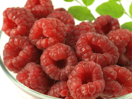 Closeup of red and juicy raspberry fruits