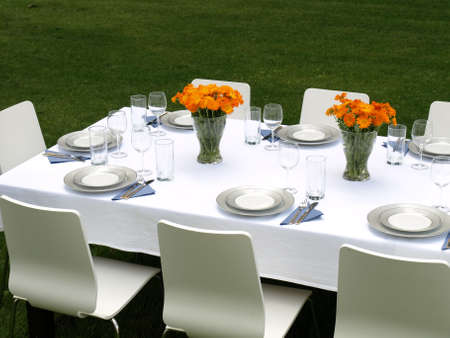 Elegant laid table for a garden party
