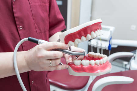 Dentist holding plastic jaw and a drill