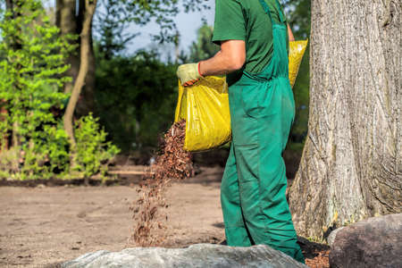 Gardener spills garden bark  to protect plantsの写真素材