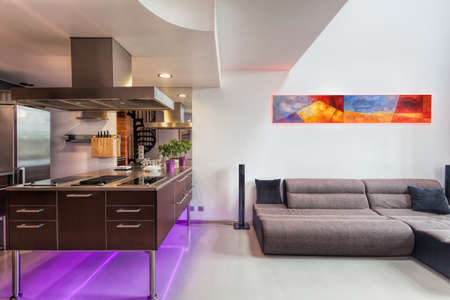 Kitchen counter and sofa in a spacious apartment