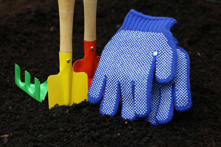 Set of colorful accessories for planting in gardenの写真素材