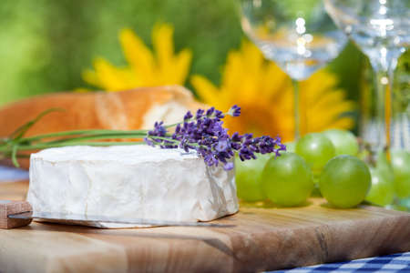 A lavender twig on a camembert cheeseの写真素材