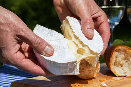 A man tearing camembert cheese into two piecesの写真素材