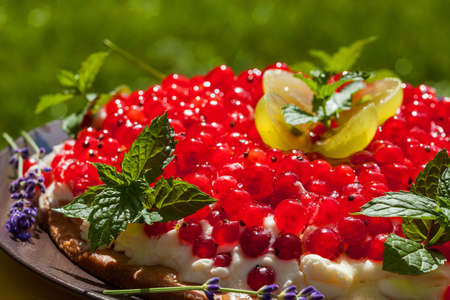 A cheesecake with fresh red currants and mintの写真素材