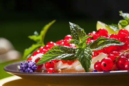 Fresh mint leaves on a fruit cakeの写真素材