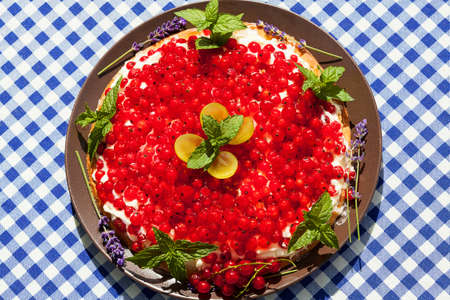 A colorful summer cake with fresh red currantsの写真素材