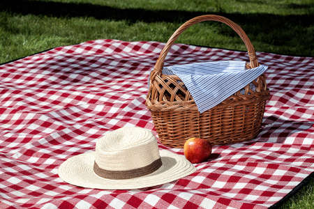 A picnic on the grass with a blanket and a wicker basketの写真素材
