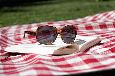 Blanket, sunglasses and book for sunbathing in gardenの写真素材