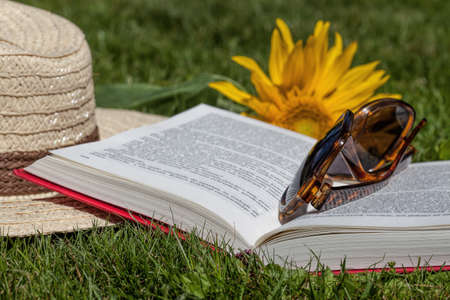 Summer leisure on a green grass, closeupの写真素材