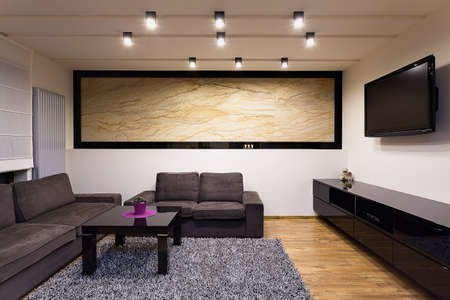 Urban apartment - comfortable living room with grey sofas