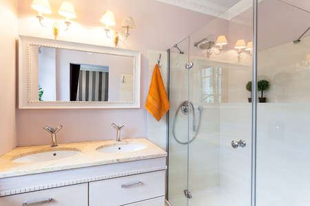 Vintage mansion - a ladies room with a shower and washbasins