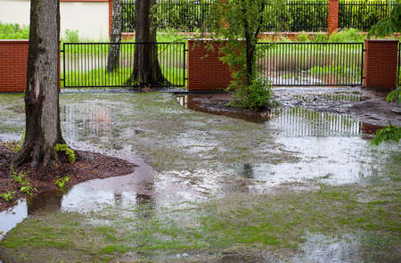A muddy backyard with puddles after spring rainの写真素材