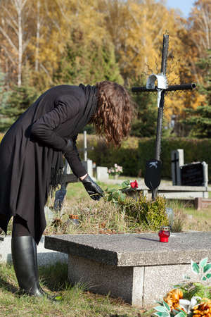 Widow in black putting red rose on graveの写真素材