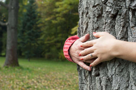 Couple in love holding hands around old treeの写真素材