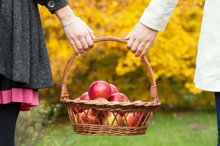 Young lesbian couple holding wicker basket with applesの写真素材