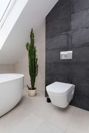 Urban apartment - white toilet in grey bathroomの写真素材