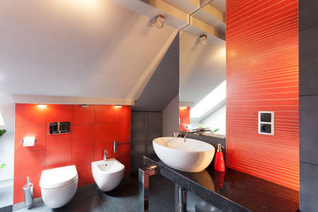 Red bathroom interior with wc, bidet and sinkの写真素材