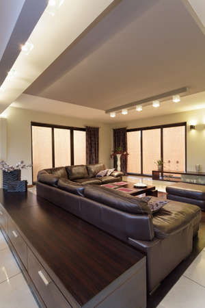 Living room with a huge sofa, vertical view