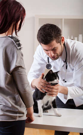 Cat owner with pet during medical appointmentの写真素材