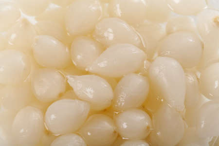 Tasty little white onions in special marinateの写真素材