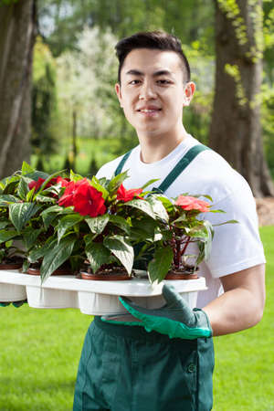 Asian gardener with plants in green garden の写真素材