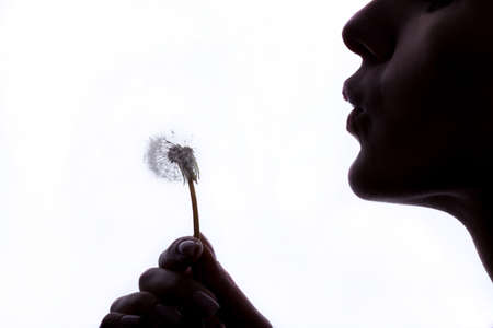  Woman with dandelion on isolated white backgroundの写真素材