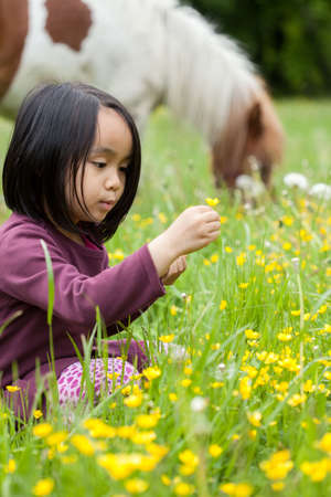 Little girl break yellow flowers and a horse in the backgroundの写真素材