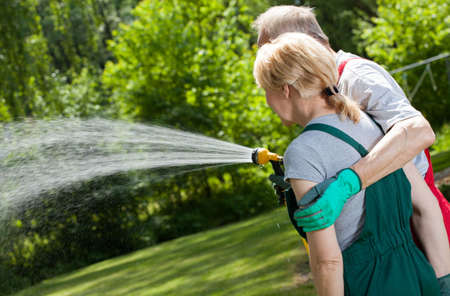 Senior married couple watering the lawn in the gardenの写真素材