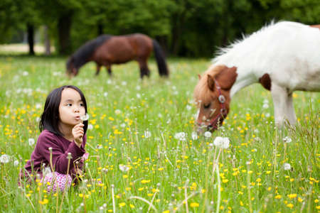 Little Asian girl in the park and horses in backgroundの写真素材