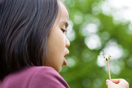 Little Asian girl with dandelion in handの写真素材