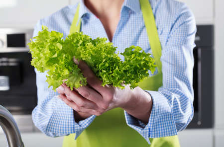 Close-up of lettuce in the hands of a housewife