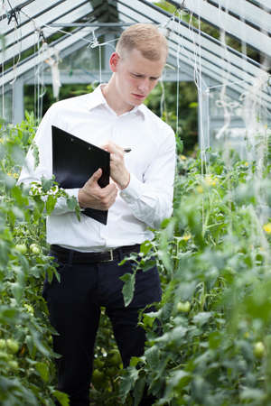 Man during taking notes in a greenhouseの写真素材