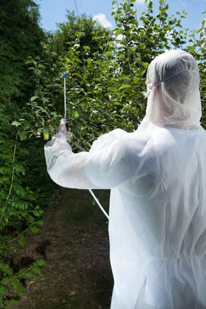Man spraying tree in a orchard, verticalの写真素材