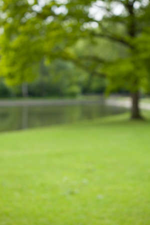 View of green park with little lakeの写真素材