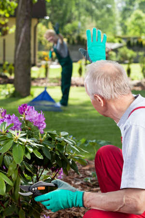 Couple working together in a garden, verticalの写真素材