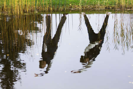 Two people doing stretching exercises over the pondの写真素材
