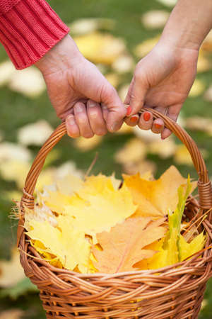 Couple holding a basket with autumn leavesの写真素材