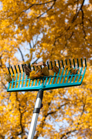 A close up of a rake in an autumn surroundingの写真素材