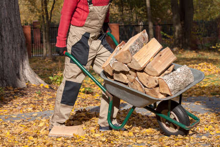 A man pushing a borrow with logs of wood