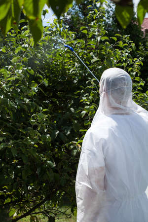 Garden worker spraying fruit trees in orchardの写真素材