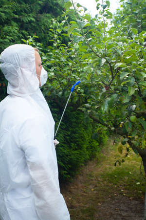Vertical view of gardener spraying fruit trees