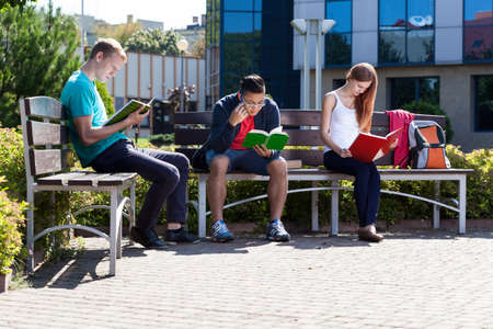 View of students learning on a benchの写真素材