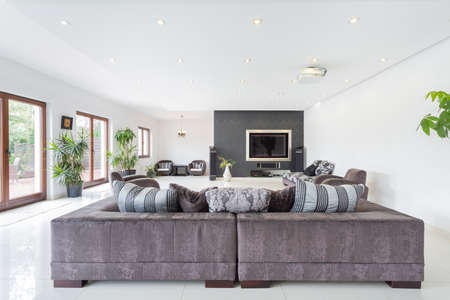 Elegant living room interior in luxury villa