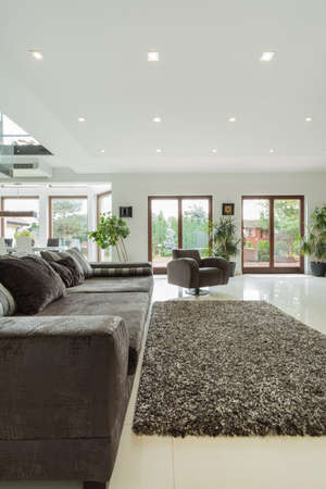 Interior of spacious and luxury drawing roomの写真素材